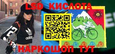 прущие крисы Шелехов