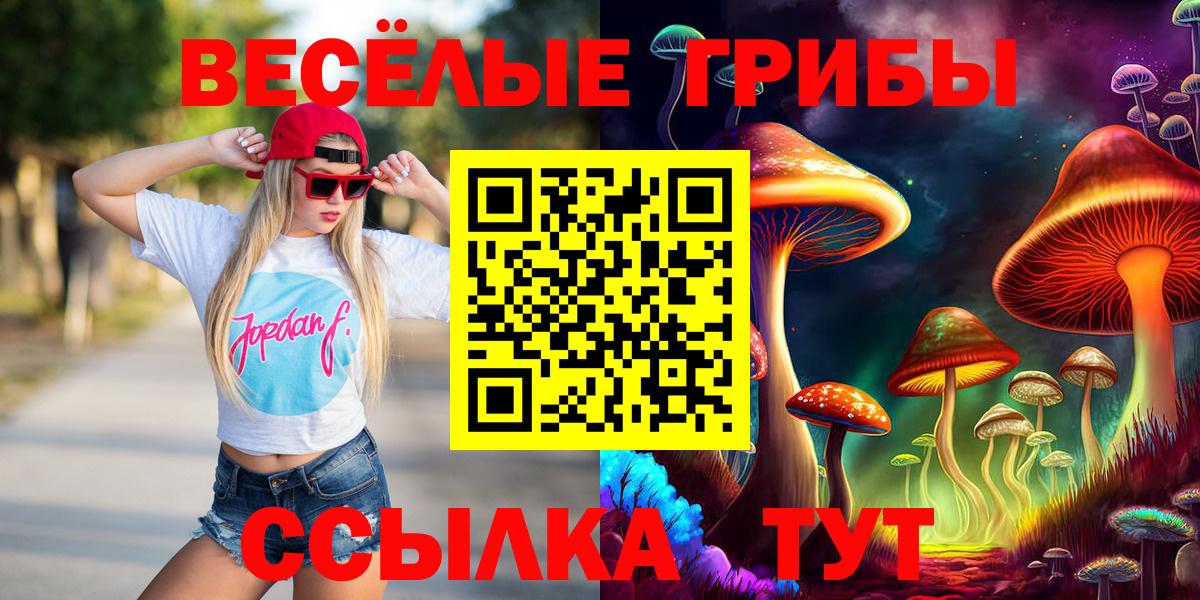 Гатчина  Галлюциногенные грибы ЛСД  Галлюциногенные грибы прущие грибы  Вход с VPN 